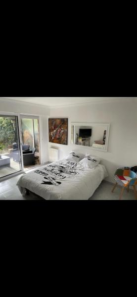 Superbe appartement avec piscine, Cannes